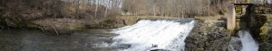DSC_4617 (1) 
